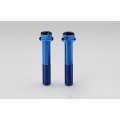 AELLA Titanium Caliper Bolts for Ducati (M10x60 - pitch 1.25)- Kit of 2 AELLA Titanium Caliper Bolts for Ducati (M10x60 - pitch 1.25)- Kit of 2